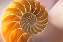 Логотип фабрики мебели «LaCorda»