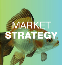 Рыночная стратегия